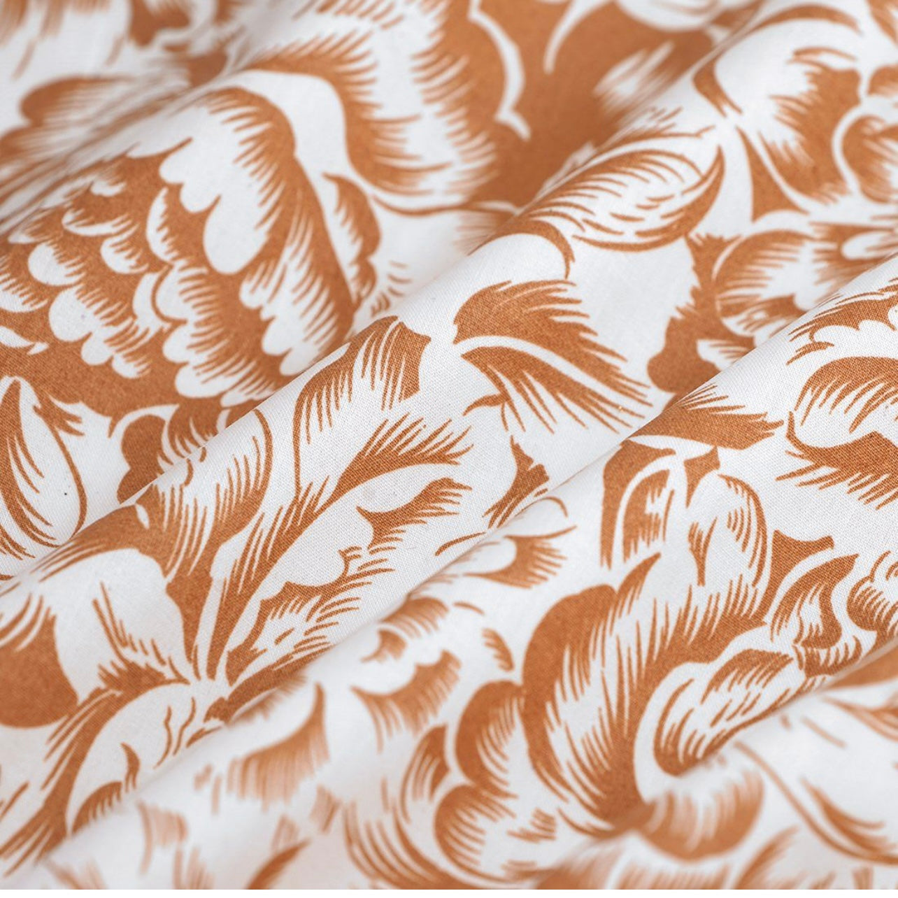 Étuis à brosse à dents