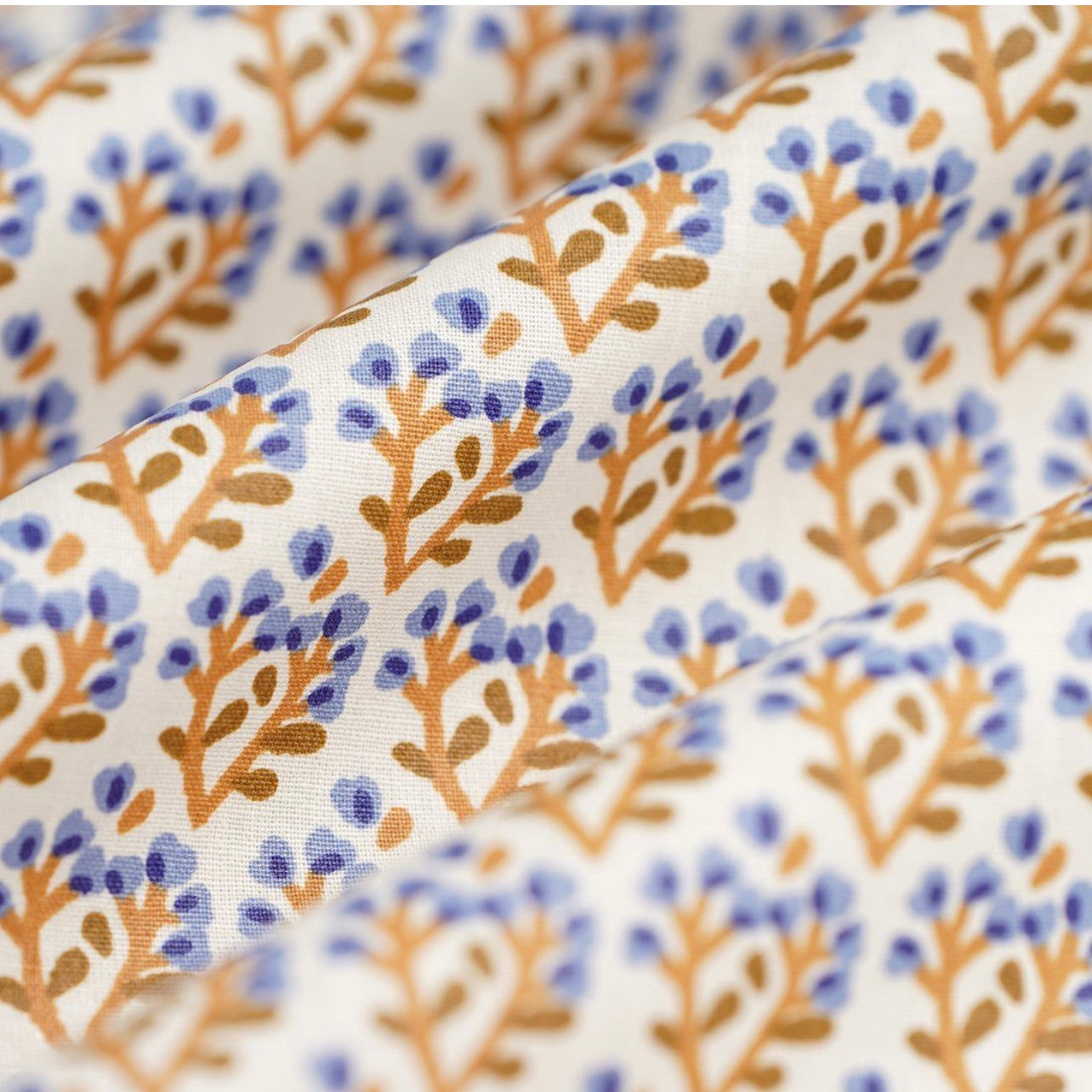 Étuis à brosse à dents