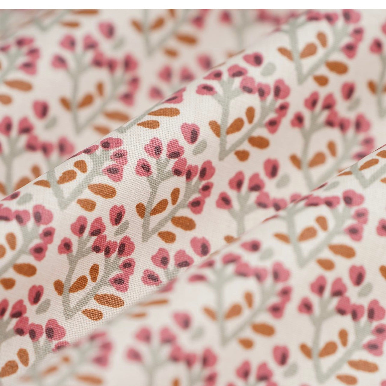 Étuis à brosse à dents